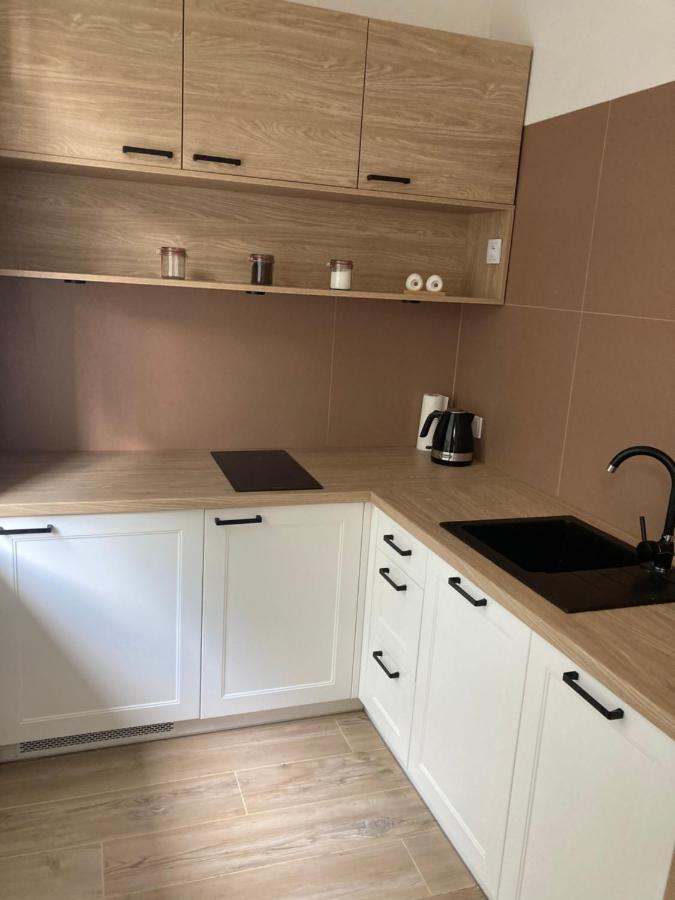 Apartament Grzaniec Szklarska Poreba Dış mekan fotoğraf